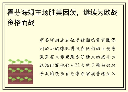 霍芬海姆主场胜美因茨，继续为欧战资格而战
